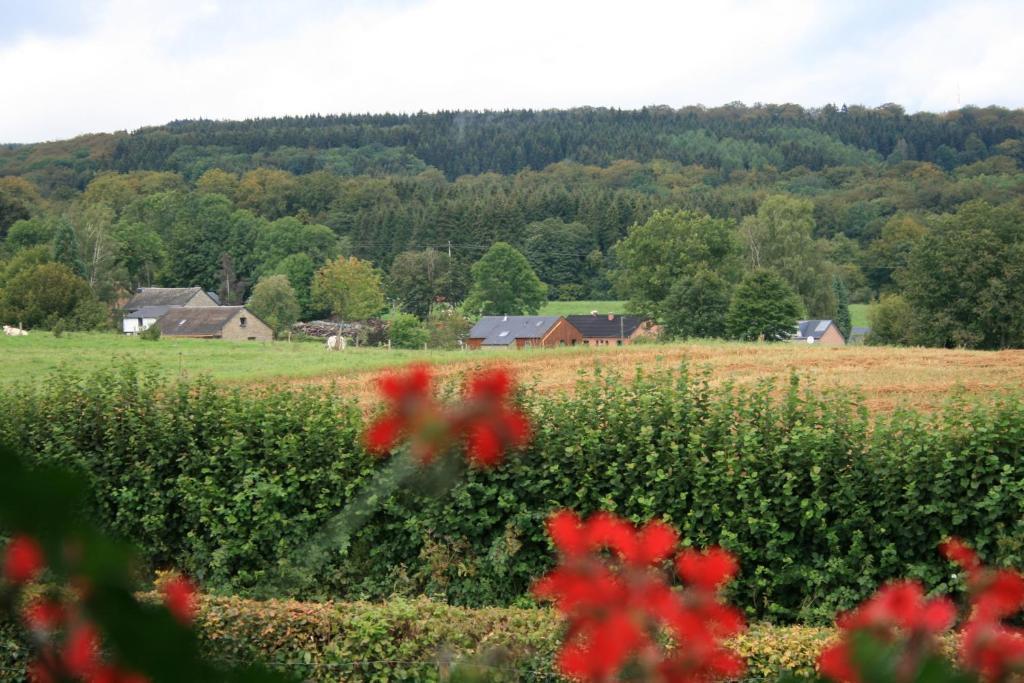 Chambres D'Hotes Les Trappeurs Silence & Nature Tenneville ห้อง รูปภาพ