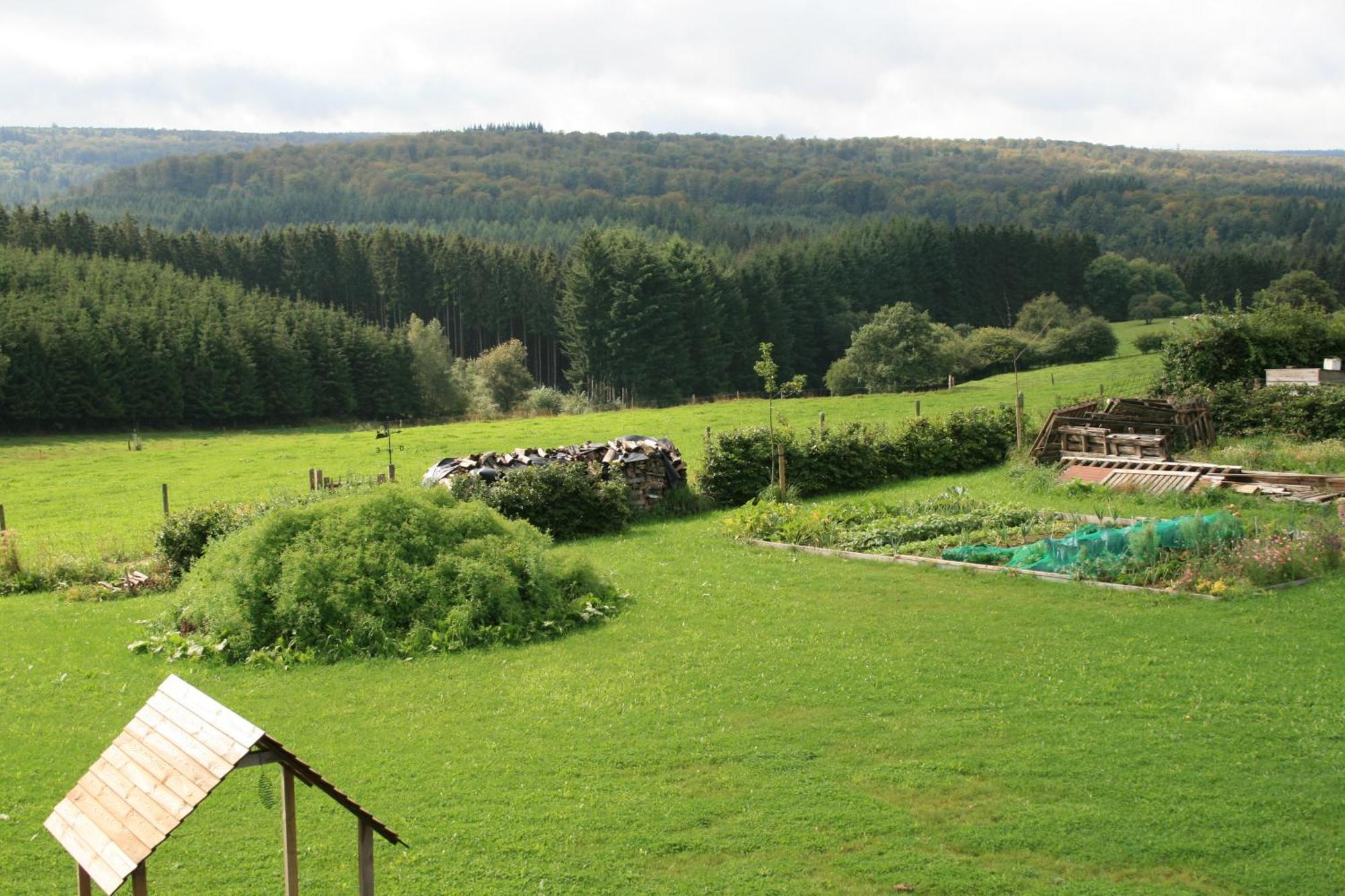 Chambres D'Hotes Les Trappeurs Silence & Nature Tenneville ภายนอก รูปภาพ