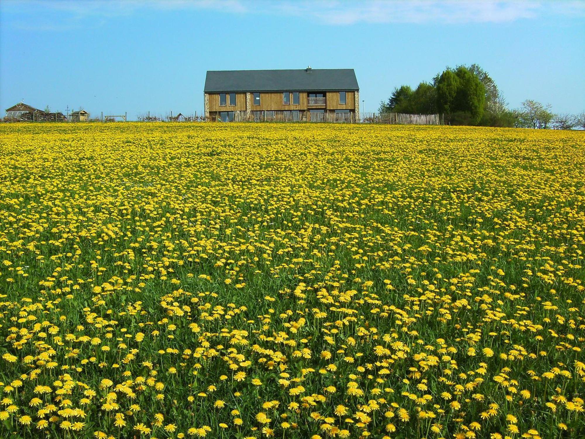 Chambres D'Hotes Les Trappeurs Silence & Nature Tenneville ภายนอก รูปภาพ